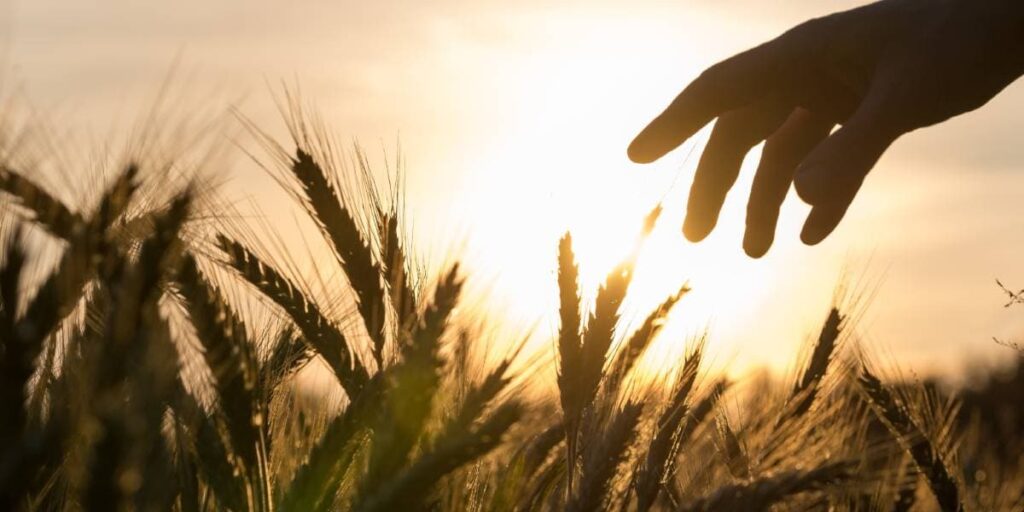 Gastronome-professionnels-le modèle-coopératif-nourrir lHomme