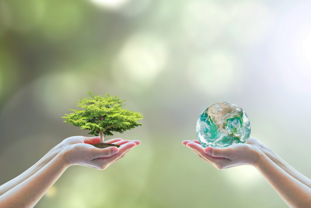 Two people human hands holding/ saving growing big tree on soil eco bio globe in clean CSR ESG natural sunlight background World environment day go green concept Element of the image furnished by NASA